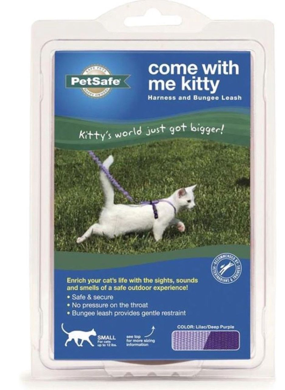 PETSAFE CAT COLLAR/HARNESS SM
