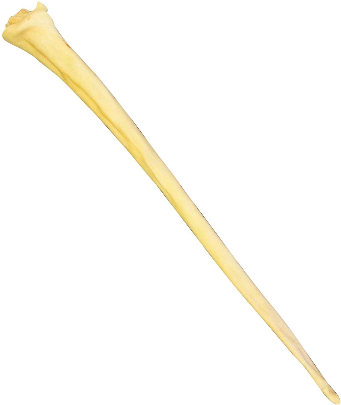 QT Dog Water Buffalo Tail
