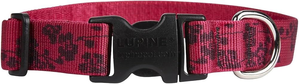16-28&quot; PLUM BLSM 1&quot; COLLAR