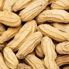 PEANUTS IN SHELL - BY LB