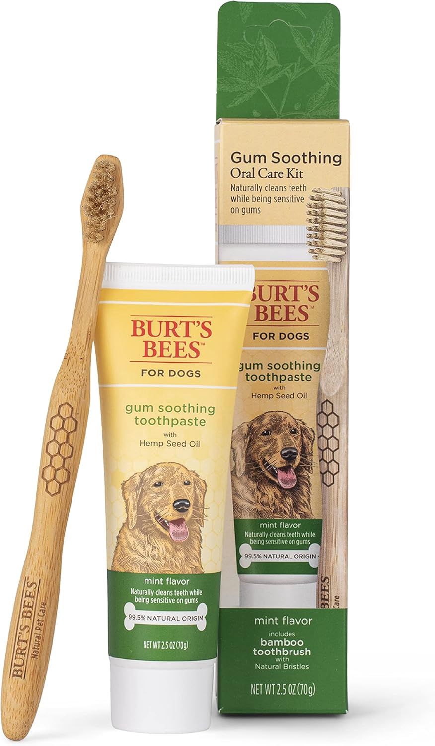 2.5OZ BURTS BS HEMP TOOTHPASTE