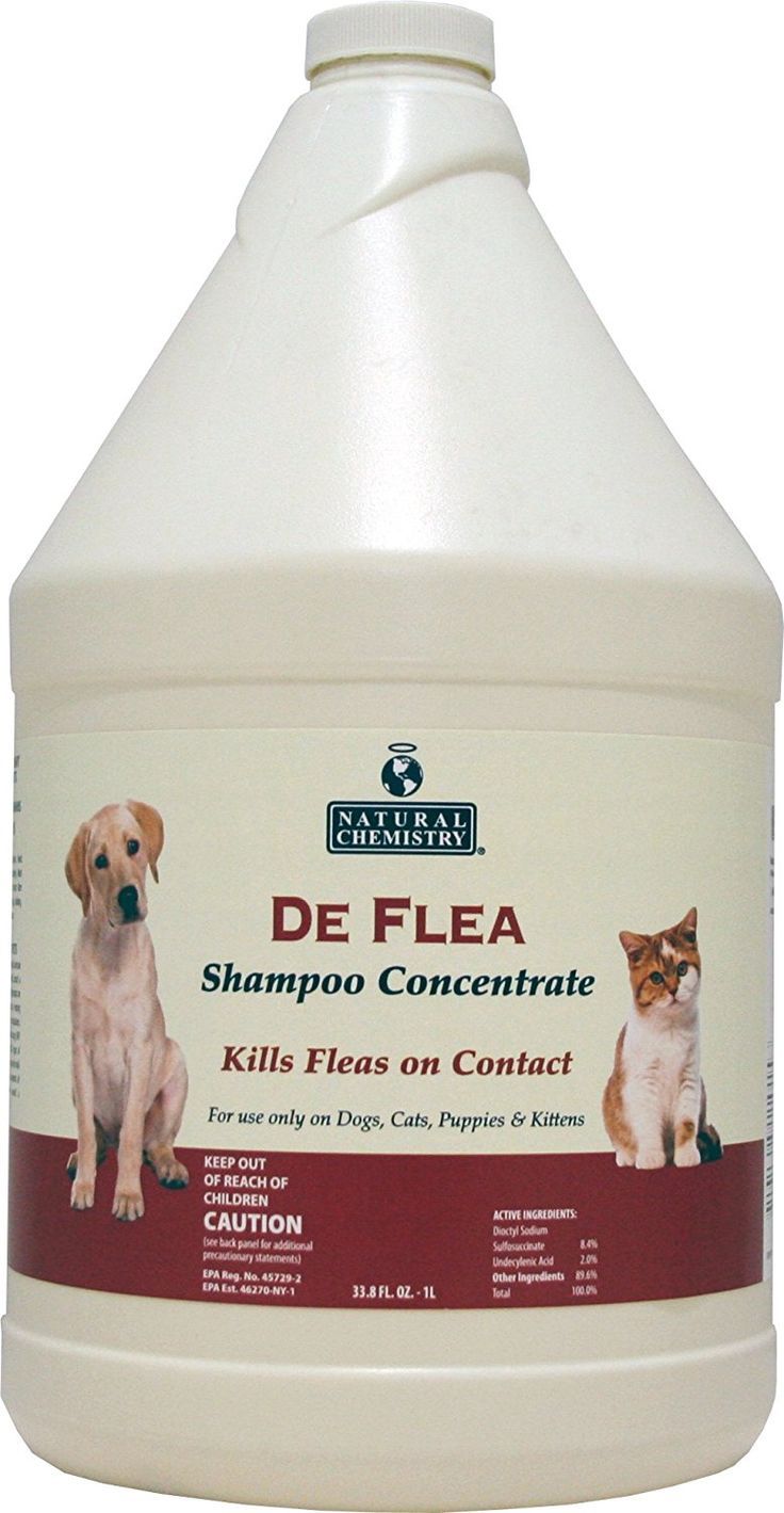 NC DE FLEA CONCENTRATE 1GAL