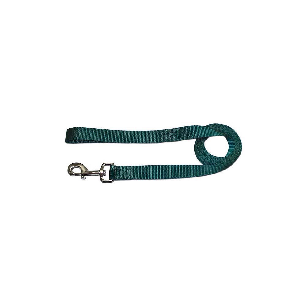 3/4&quot; NYLON 6FT GREEN LEAD