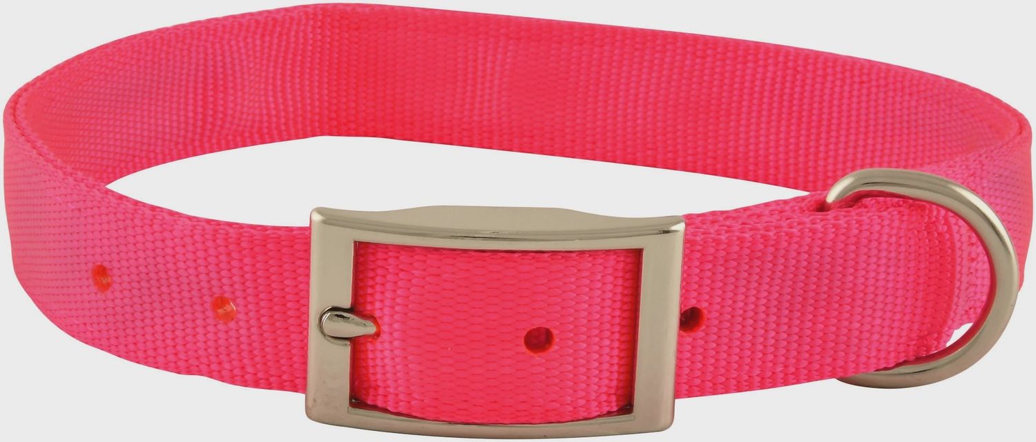 3/4&quot; NYLON COLLAR NEONPINK 16&quot;
