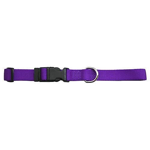 3/4&quot; PURPLE ADJ COLLAR 14-20&quot;