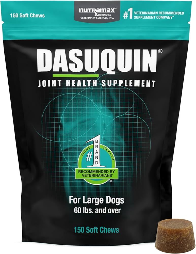 64CT DASUQUIN LARGE DOG