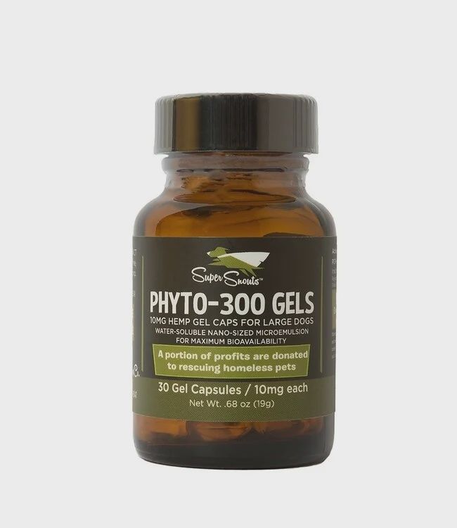 CBD GEL CAPSULES 300MG
