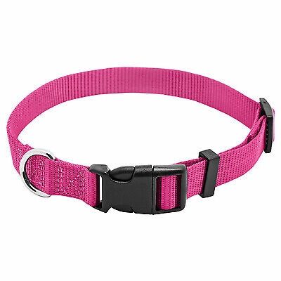 3/4&quot;NEONPINK ADJ COLLAR 14-20&quot;