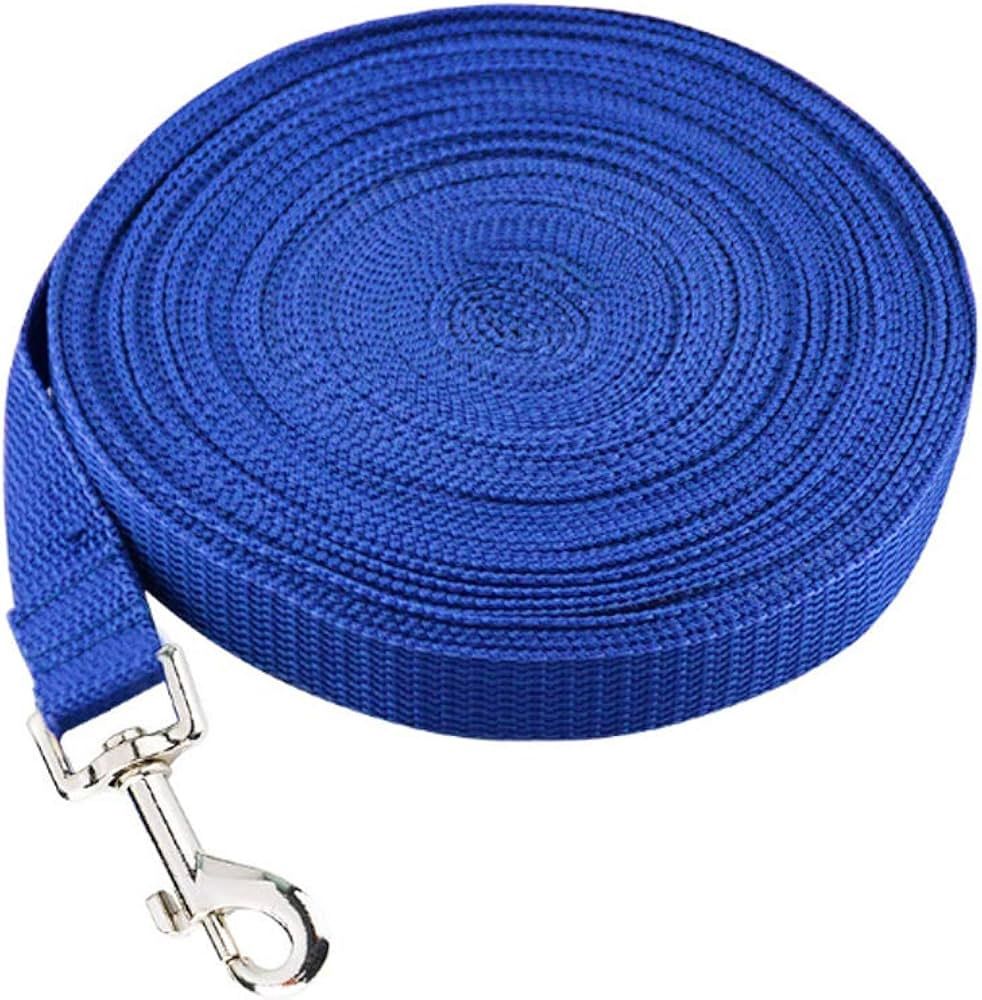 25FT BLUE TRAINING LEAD