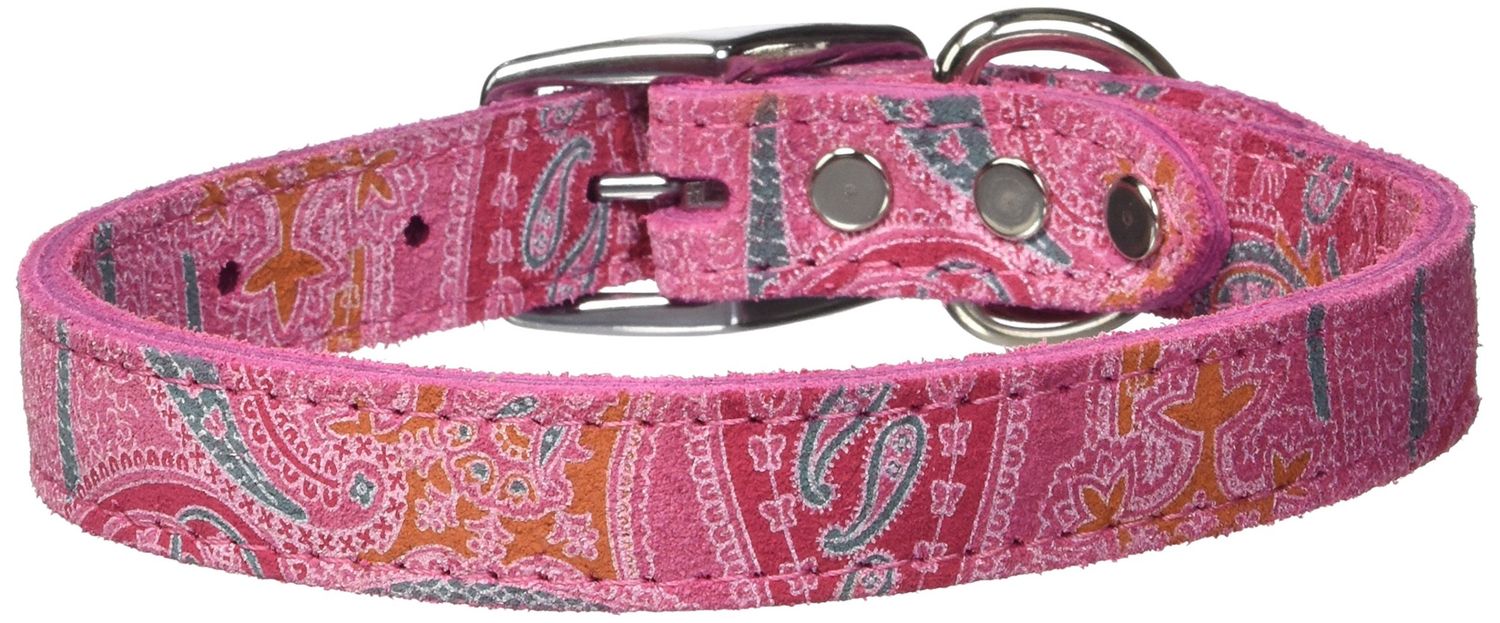 3/4&#39;&#39; RG PAISLEY/PK16