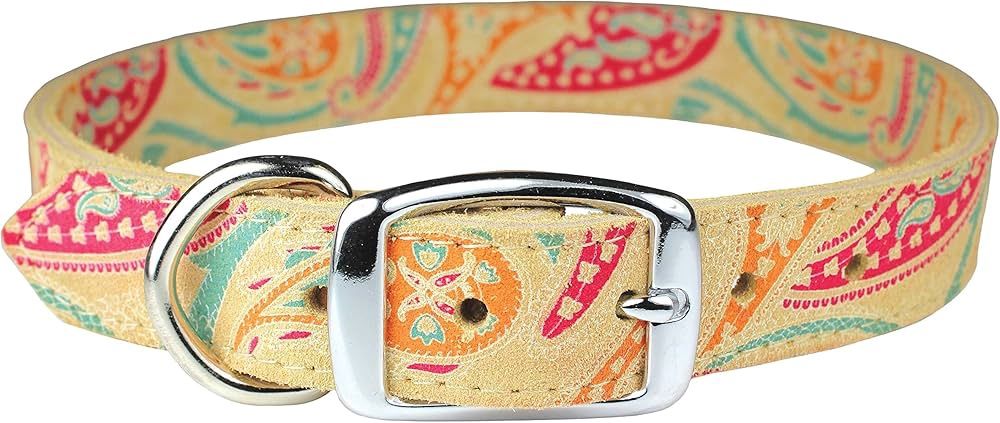 3/4&#39;&#39; RG PAISLEY/SD20