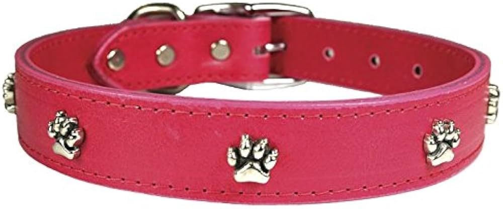 3/4&#39;&#39;RG PAW ORN/PK18 LTHR