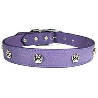 3/4&#39;&#39;RG PAW ORN/LV16 LTHR