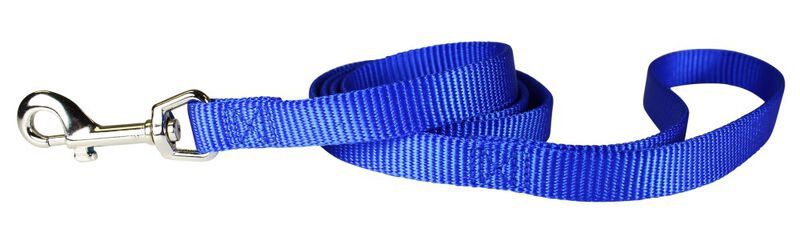 3/8&quot; NYLON 4FT BLUE LEAD