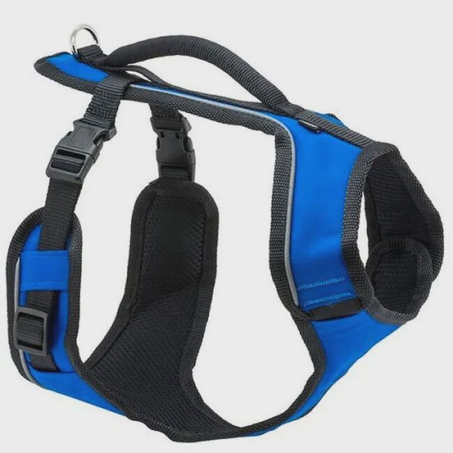 EASYSPORT HARNESS SM BLUE