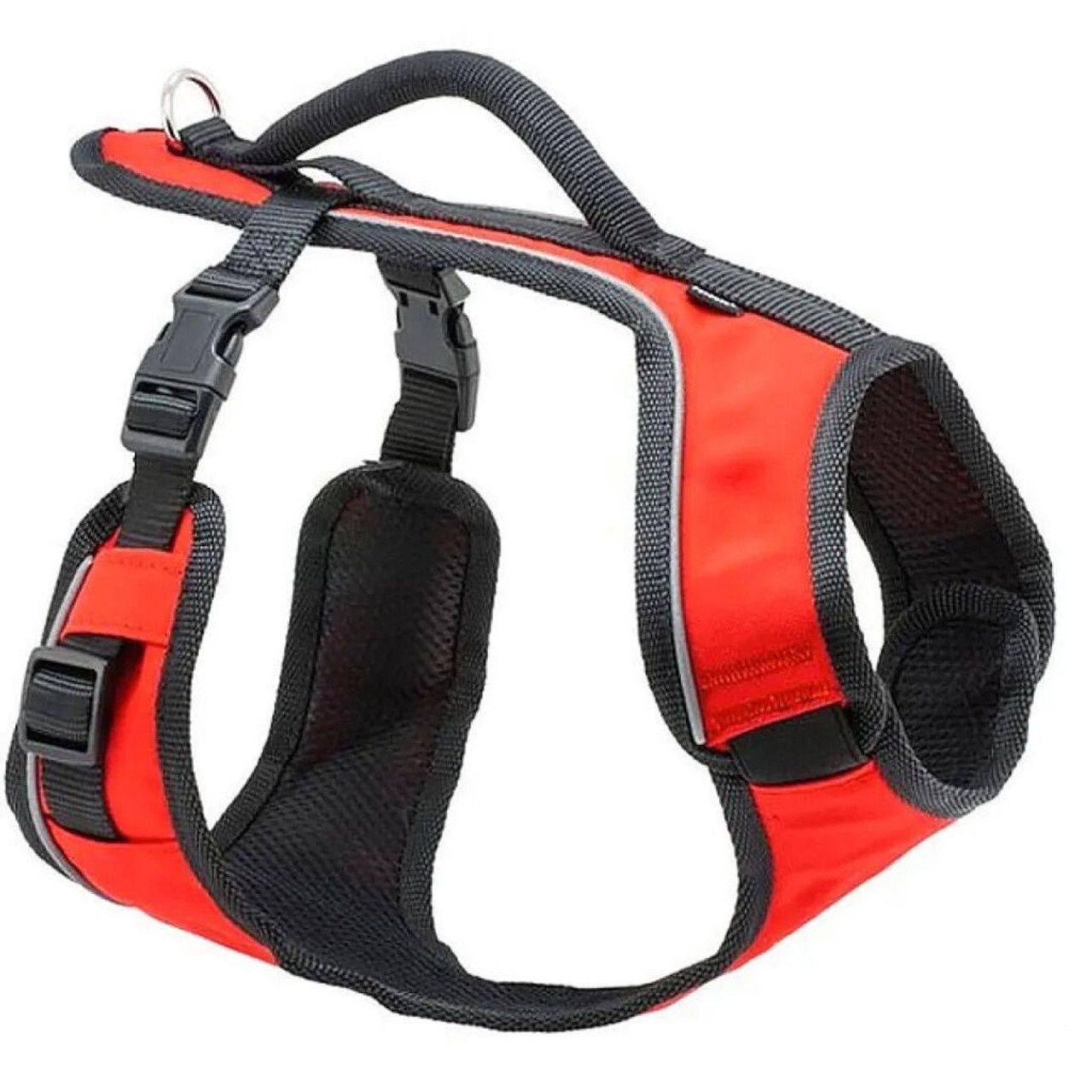 EASYSPORT SM HARNESS RD