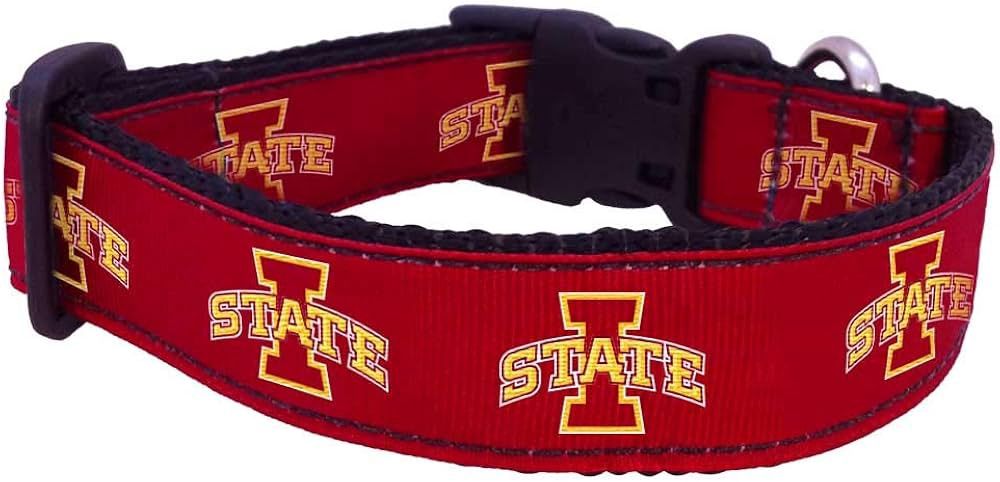 IOWA STATE SM COLLAR
