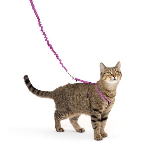 PETSAFE COME WITH ME KITTY - DUSTY ROSE MED