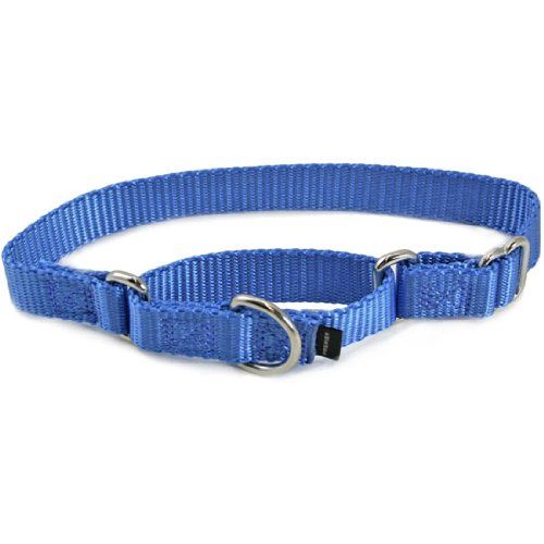 LARGE BLUE PREMIER COLLAR