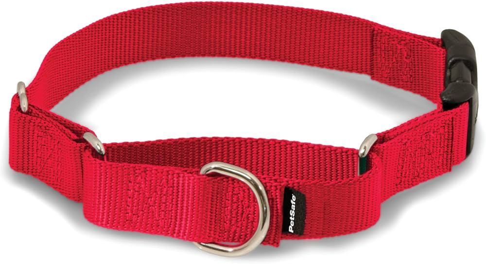 LARGE RED PREMIER COLLAR