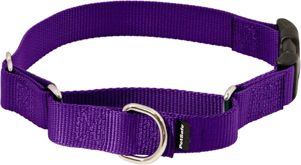 LARGE PURPLE PREMIER COLLAR