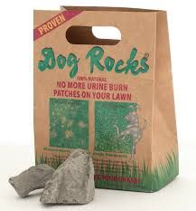 DOG ROCKS - GRASS BURN