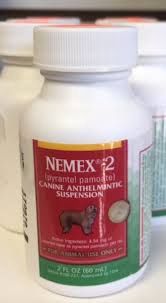 NEMEX-2 DEWORMER 60ML
