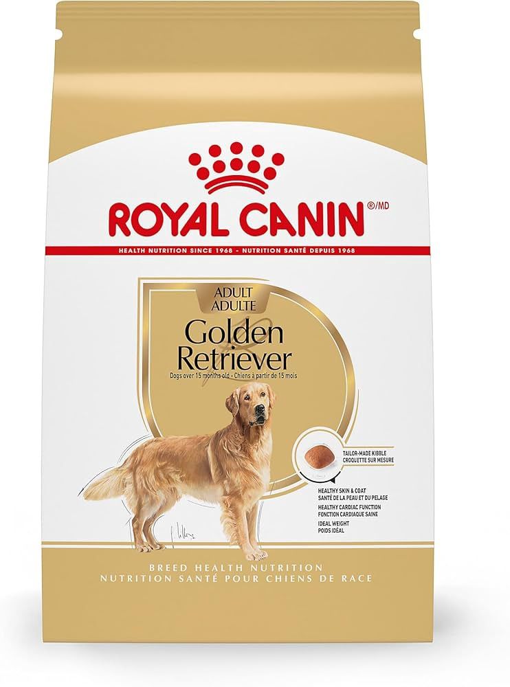 30# RC GOLDEN RETRIEVER