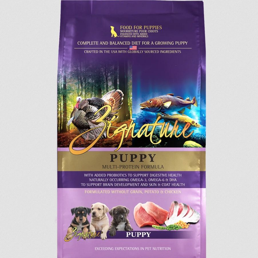 4# ZIGNATURE DOG GF PUPPY