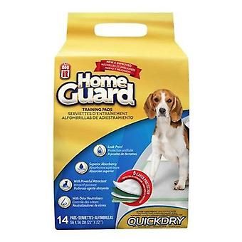 DOGIT TRAINING PADS 50CT