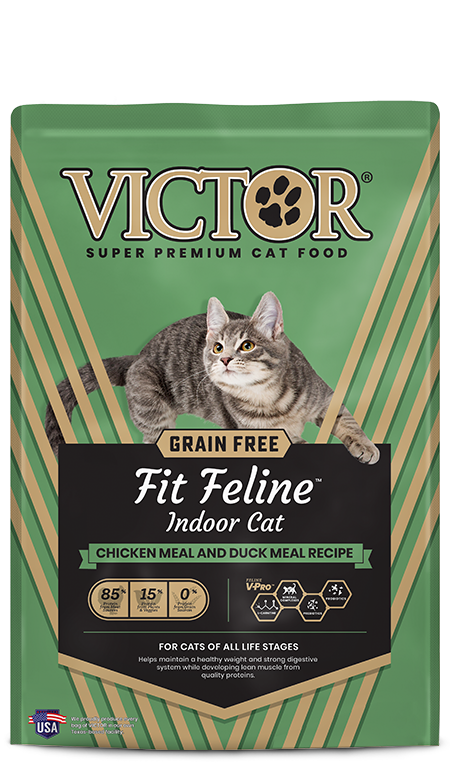 VICTOR GF FIT FELINE 15#