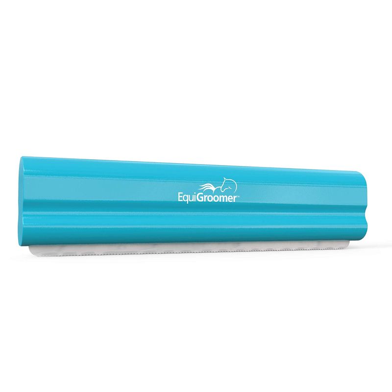 TEAL EQUIGROOMER