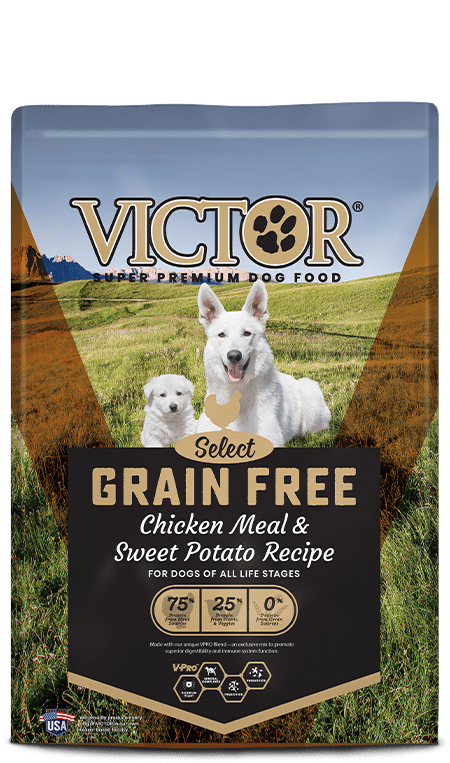 VICTOR GF CHICKEN 5#