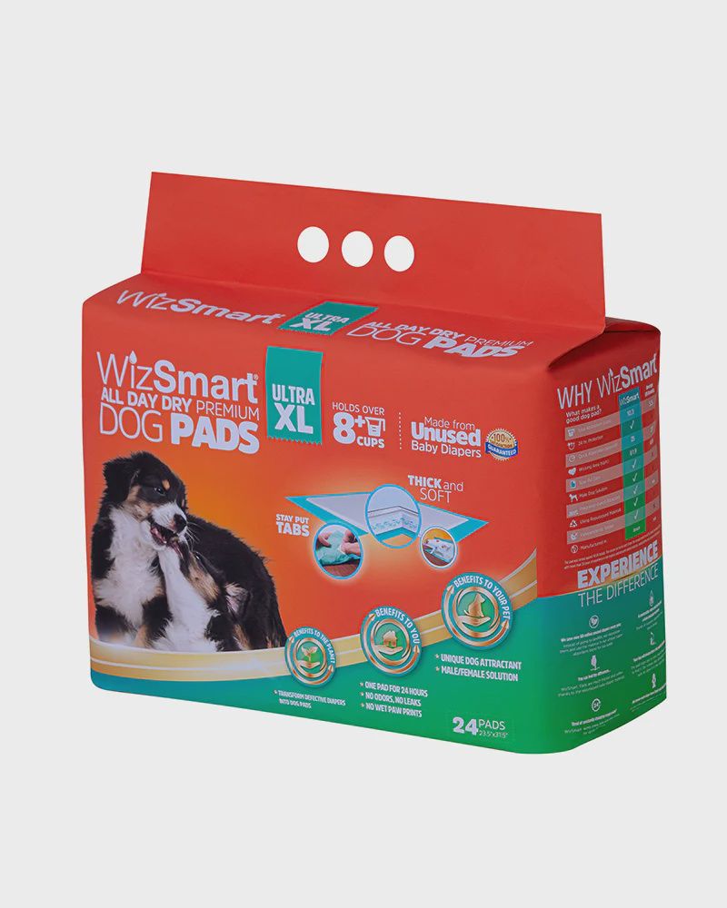 WS ULTRA XL PADS 24CT