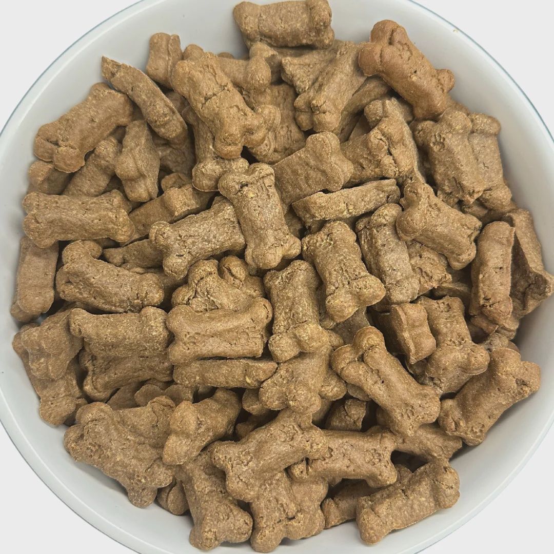 Bacon Bits 20# Bulk Box