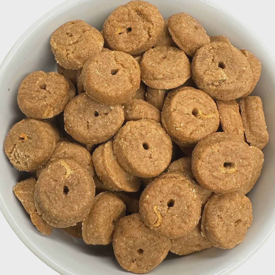 Carrot Cake Soft &amp; Chewy 10 # Bulk Box