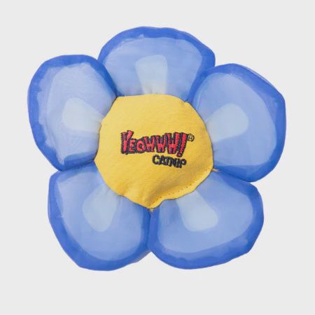 YEOWWW! CAT DAISY FLOWER TOPS BLUE
