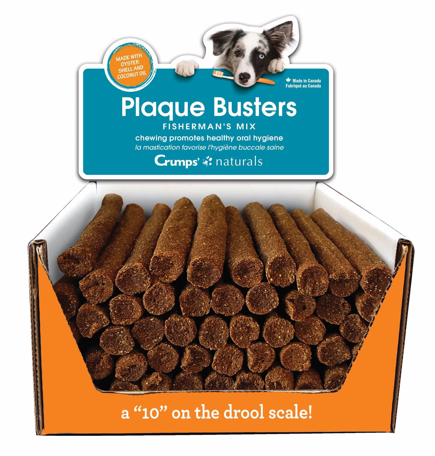 PLAQUE BUSTERS FISH