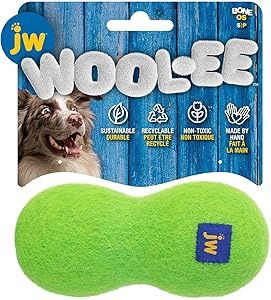 JW Woolee Bone Green Small Dog Toy