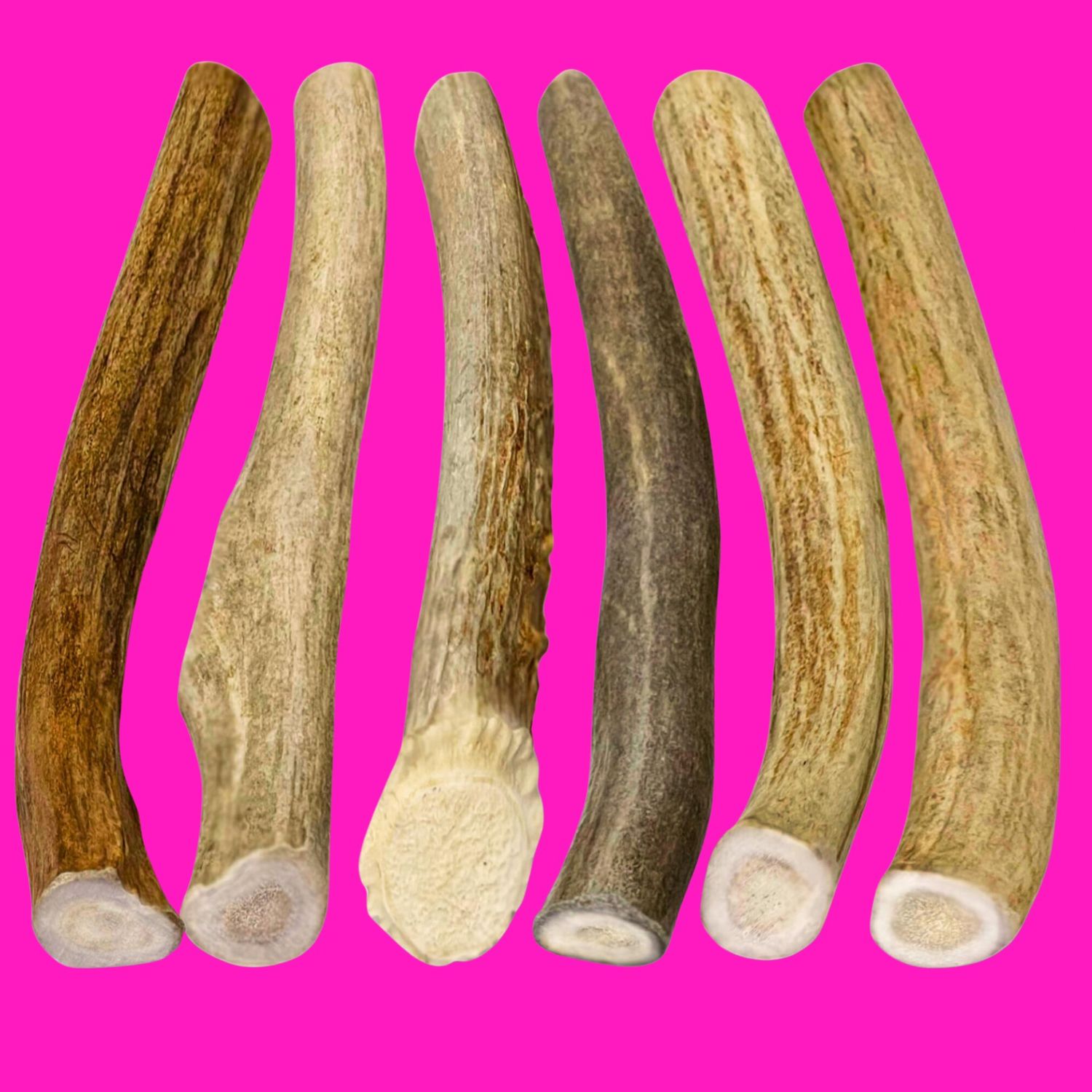 Premium Elk Antler - Large (By Lb)
