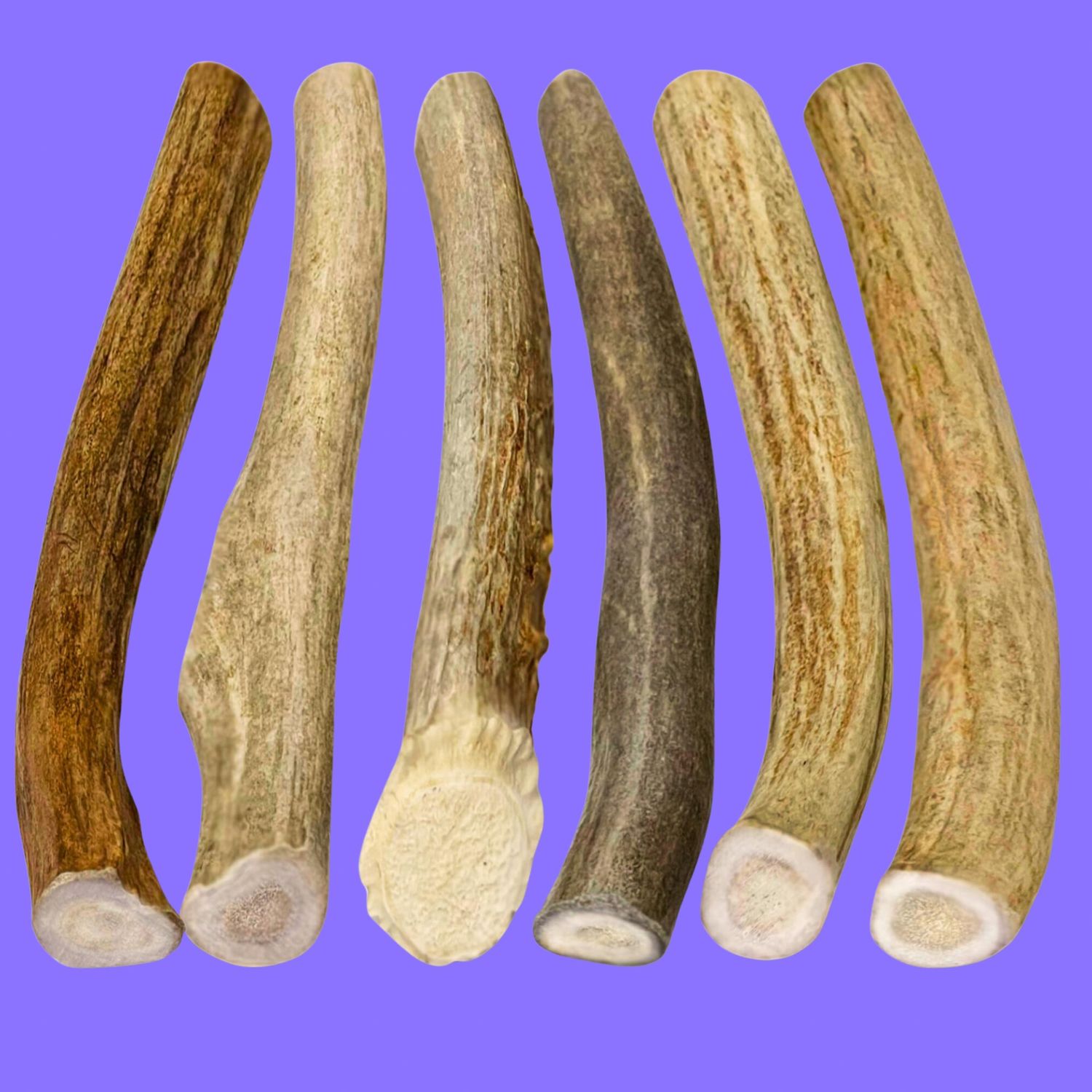 Value Deer Antler SM - (By Lb)