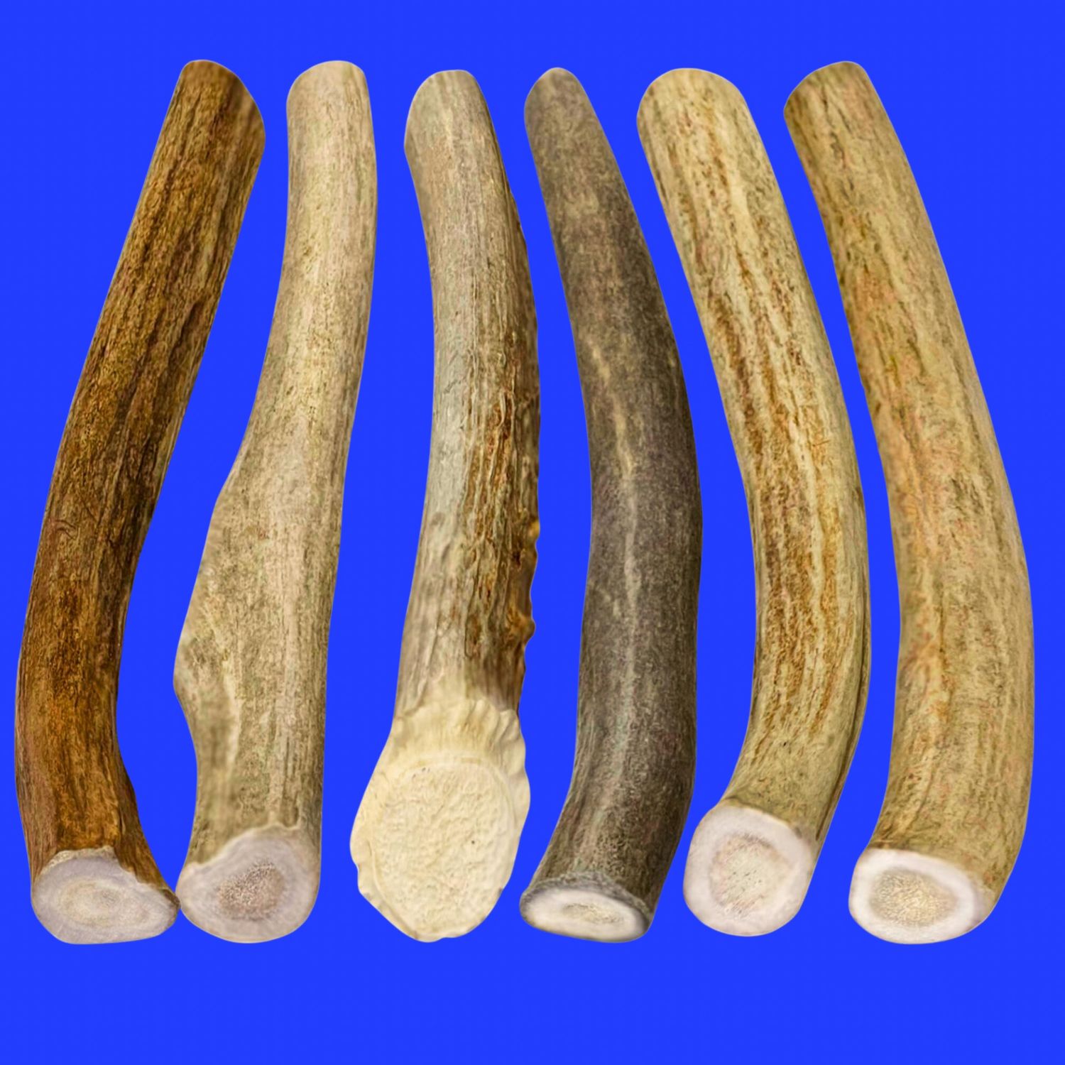 Premium Deer Small Antler - (By Lb)