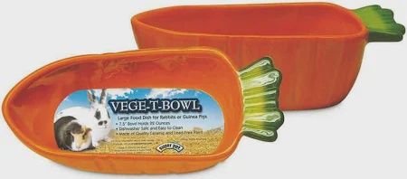 22OZ SUPER PET VEGE-T-BOWL CARROT
