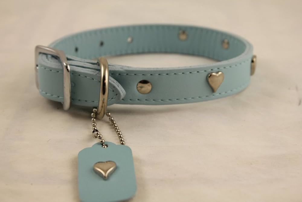 1&quot;RG HEART ORN BBY BLUE 18&quot; LTHR