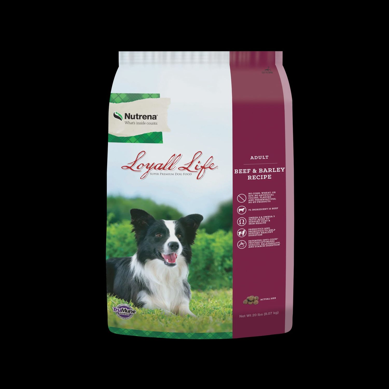 LOYALL LIFE ADULT BEEF &amp; BARLEY 40#