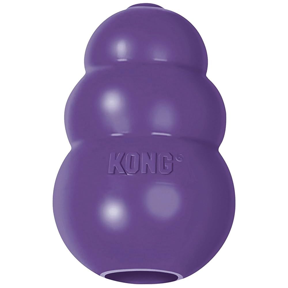 KONG SENIOR LARGE TOY