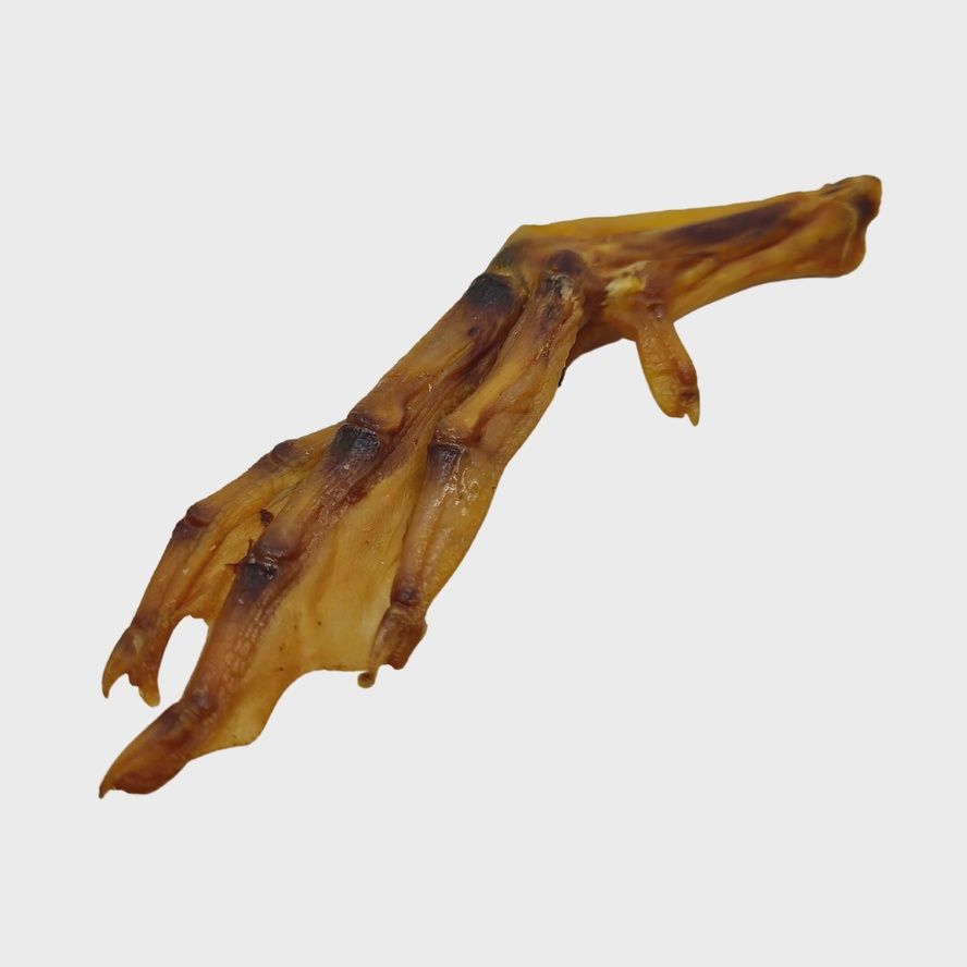 Duck Foot