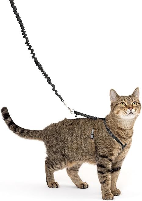 Petsafe Medium Black Cat Harness