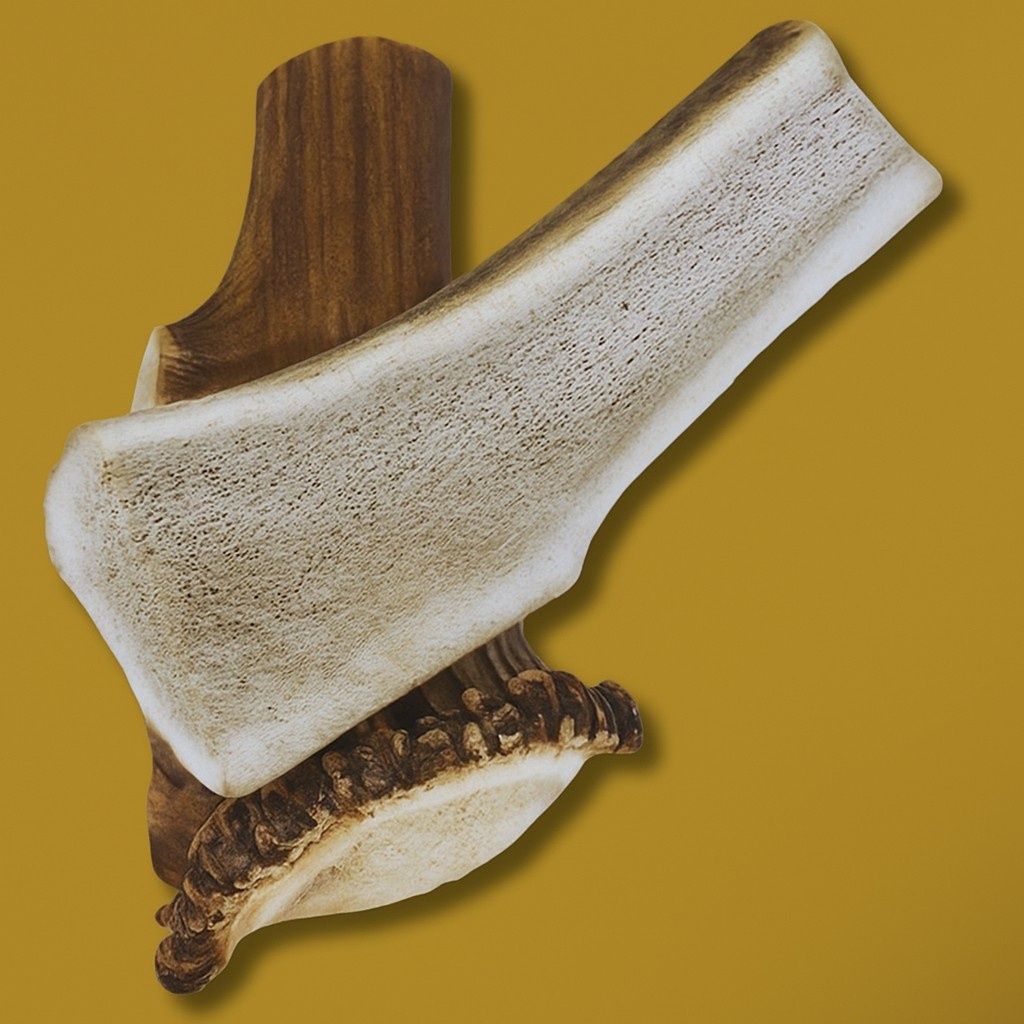 LARGE SPLIT ELK ANTLER