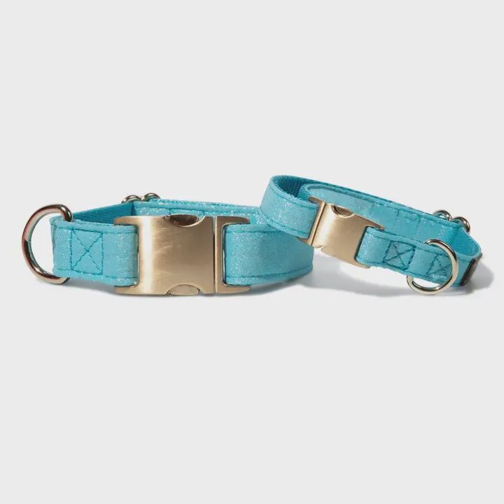 XS COLLAR DAWSON BLUE